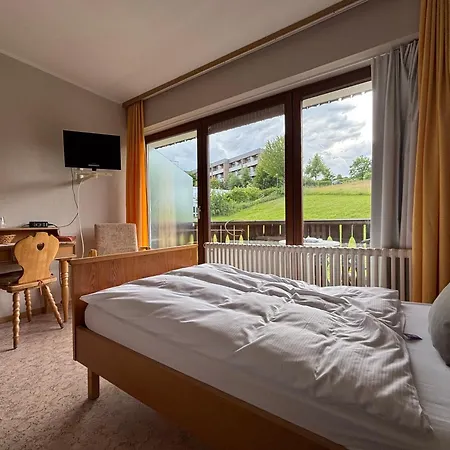 Simplex Lauer * Bad Soden-Salmünster