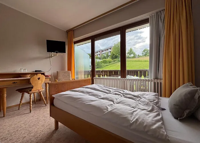 Simplex Lauer * Bad Soden-Salmünster